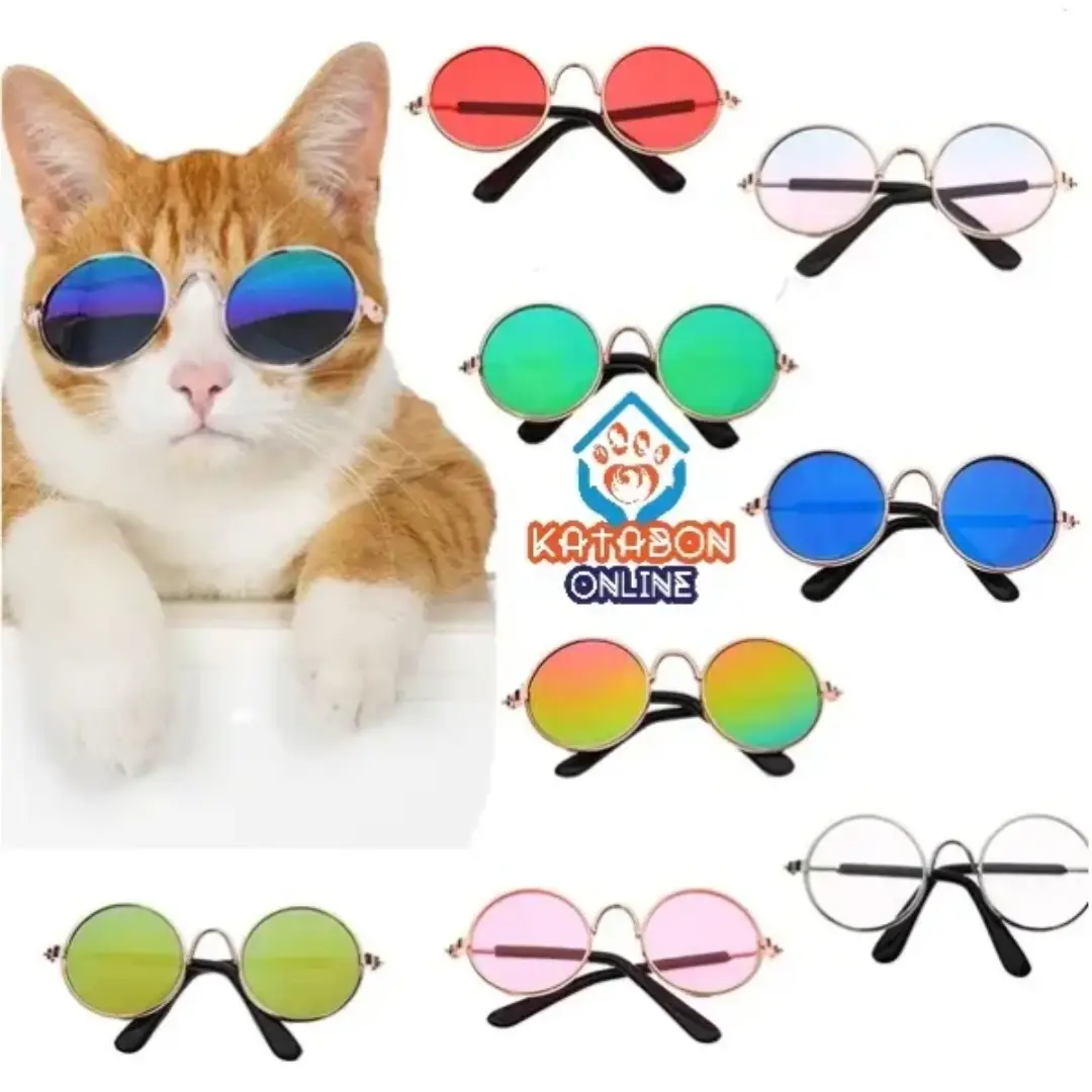 Colourful Sunglass For Pet