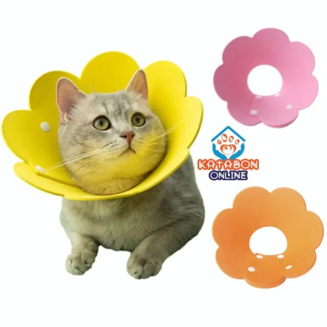 Sun Flower Coller For Cat