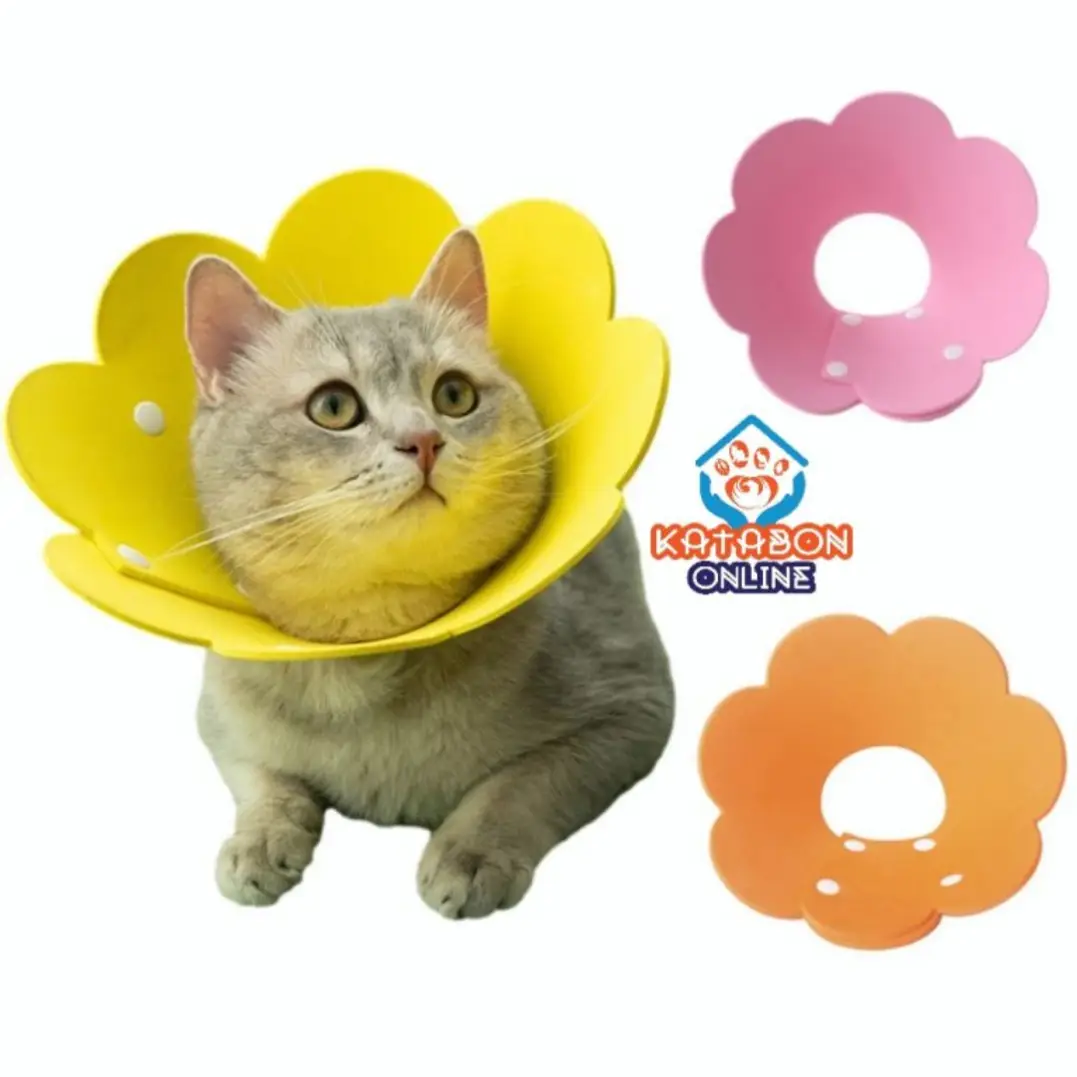 Sun Flower Coller For Cat
