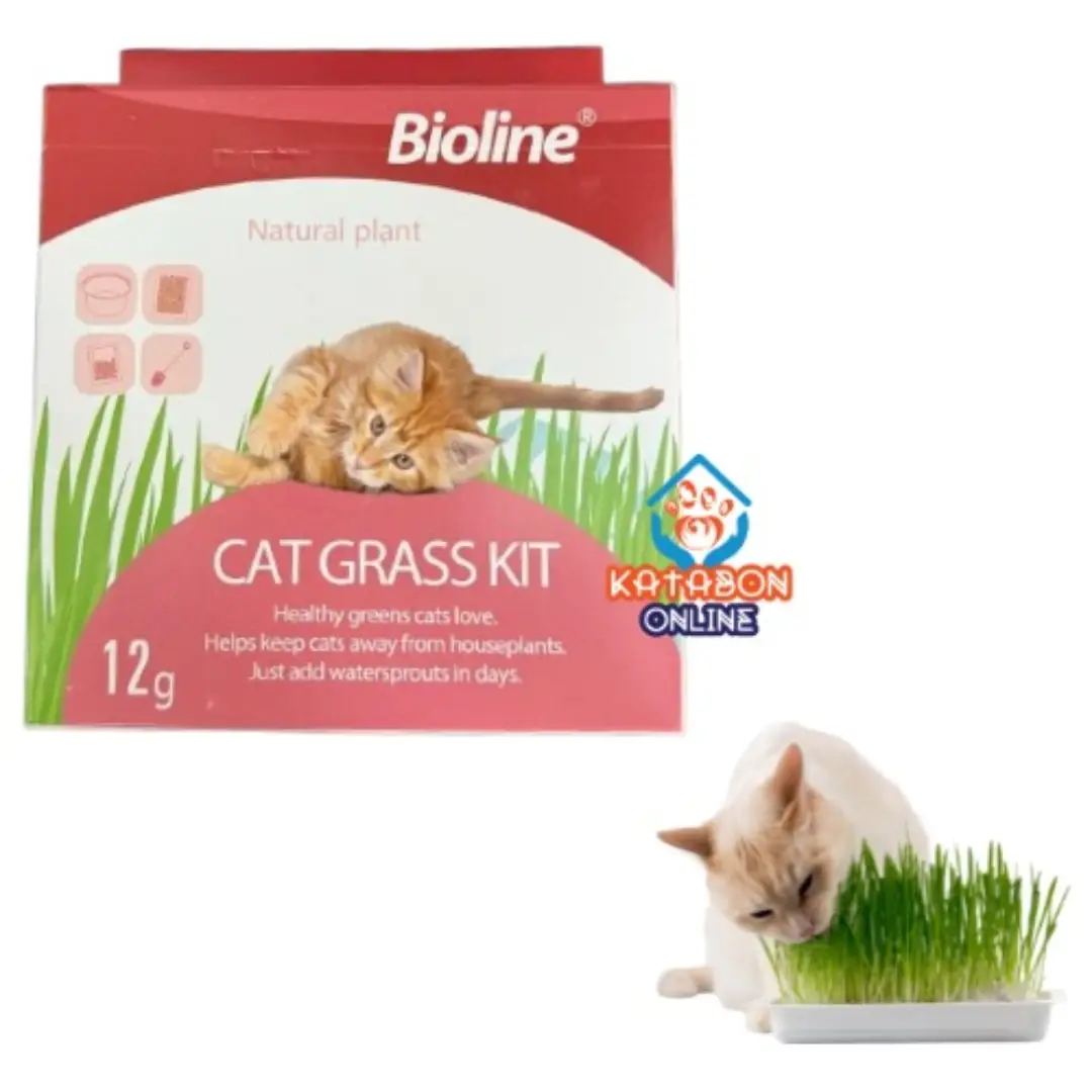 Bioline Cat Grass Kit 12g